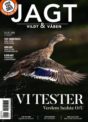 Jagtfeltskydning