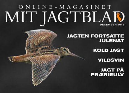 Prærieulvejagt i Arizona