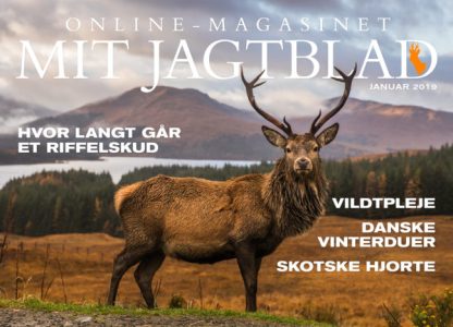 En rookie på jagt.
