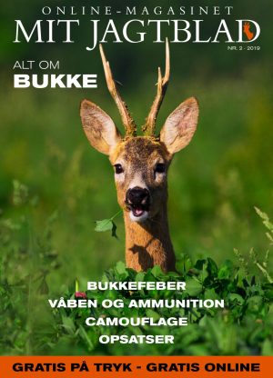 Min første buk