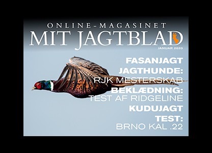 Kudu - Afrikas grå spøgelse