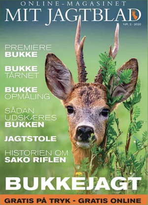 Sommerbuk på Samsø