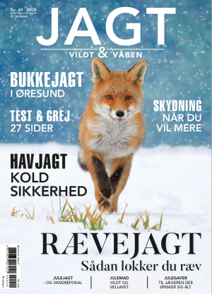 Test af Hanwag Alta Bunion GTX støvler